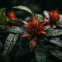 une rouge fleur avec l'eau gouttelettes sur il génératif ai photo