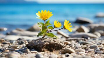 deux Jaune fleurs croissance en dehors de une Roche sur une plage génératif ai photo