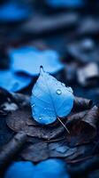 une bleu feuille pose sur le sol avec l'eau gouttelettes sur il génératif ai photo