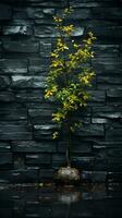 une bonsaï arbre dans de face de une pierre mur génératif ai photo