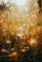 une bulle flottant dans une champ de grand herbe génératif ai photo