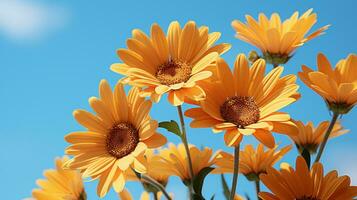 une bouquet de Jaune marguerites dans une vase avec une bleu ciel dans le Contexte génératif ai photo