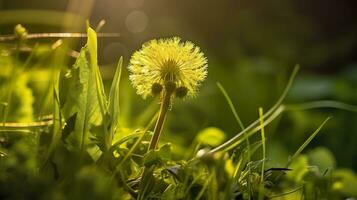 le vert printemps Matin. génératif ai photo