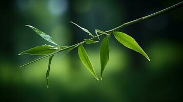 une proche en haut de une bambou branche avec vert feuilles génératif ai photo