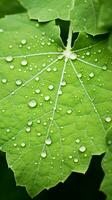 une proche en haut de une vert feuille avec l'eau gouttelettes sur il génératif ai photo