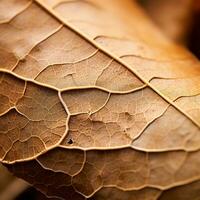 une proche en haut de une feuille génératif ai photo