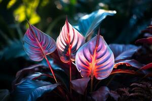 une proche en haut de une plante avec coloré feuilles génératif ai photo