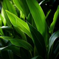 une proche en haut de une plante avec vert feuilles génératif ai photo