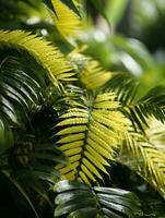 une proche en haut de une tropical plante avec l'eau gouttelettes sur il génératif ai photo