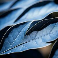 une proche en haut de bleu feuilles sur une plante génératif ai photo