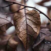 une proche en haut de marron feuilles sur une arbre génératif ai photo