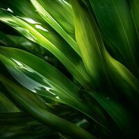 une proche en haut de vert feuilles sur une foncé Contexte génératif ai photo