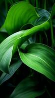 une proche en haut de vert feuilles sur une plante génératif ai photo