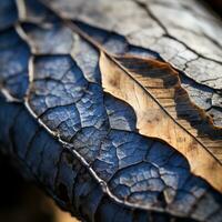 une proche en haut vue de une feuille sur une arbre génératif ai photo