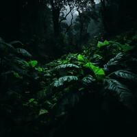 une foncé forêt avec beaucoup de vert les plantes génératif ai photo