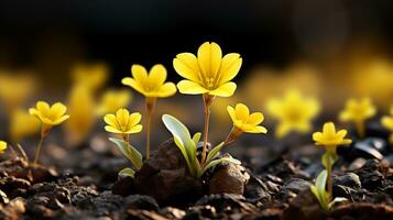 une groupe de Jaune fleurs croissance en dehors de le sol génératif ai photo