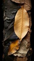 une pile de marron et Jaune feuilles sur une noir Contexte génératif ai photo