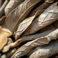 une pile de séché feuilles sur le sol génératif ai photo