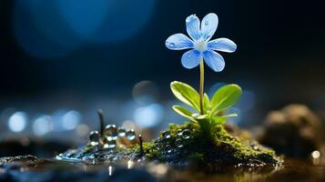 une petit bleu fleur est croissance en dehors de le sol génératif ai photo