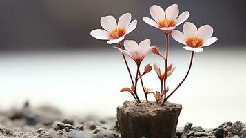 une petit fleur croissance en dehors de saleté génératif ai photo