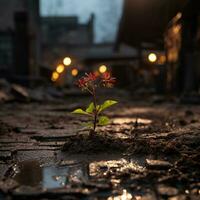 une petit plante croissance en dehors de une flaque dans le milieu de le rue génératif ai photo