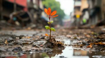 une petit plante croissance en dehors de le boue dans le milieu de une ville rue génératif ai photo