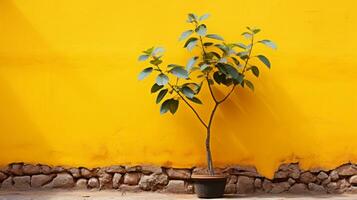 une petit arbre dans une pot contre une Jaune mur génératif ai photo