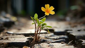 une petit Jaune fleur est croissance en dehors de une fissure dans le sol génératif ai photo