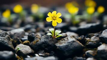 une petit Jaune fleur est croissance en dehors de le sol génératif ai photo