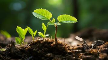 une Jeune plante pousse de le sol dans le forêt génératif ai photo