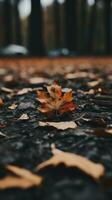 un l'automne feuille pose sur le sol dans le milieu de feuilles génératif ai photo