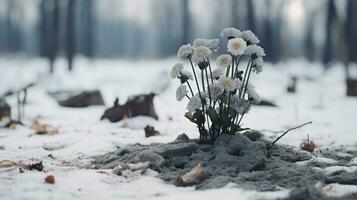 fleurs dans le neige génératif ai photo