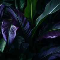 violet et vert feuilles sur une foncé Contexte génératif ai photo