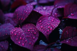 violet feuilles avec l'eau gouttelettes sur leur génératif ai photo