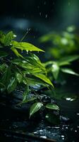 gouttes de pluie sur le feuilles de une arbre dans le pluie génératif ai photo