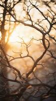 le Soleil est brillant par le branches de une arbre génératif ai photo
