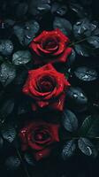 Trois rouge des roses avec l'eau gouttelettes sur leur génératif ai photo