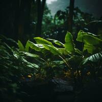 tropical les plantes dans le forêt à nuit génératif ai photo