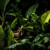 tropical les plantes dans le jungle génératif ai photo