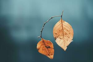 deux feuilles pendaison de une branche sur une bleu Contexte génératif ai photo