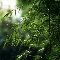 l'eau gouttelettes sur le feuilles de une bambou arbre génératif ai photo