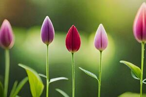 quatre tulipes sont permanent dans une ligne. généré par ai photo