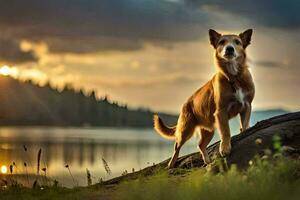 une chien permanent sur une Journal dans de face de une Lac à le coucher du soleil. généré par ai photo