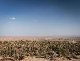 Vue sur le paysage désertique dans l'oasis de garmeh près de Yazd dans le sud de l'iran