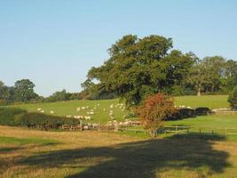 vue de tanworth en arden photo