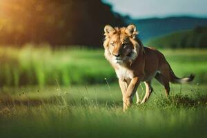 une Lion en marchant par une champ. généré par ai photo