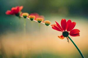 rouge fleurs dans le champ. généré par ai photo