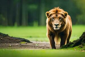 une Lion en marchant dans le herbe. généré par ai photo