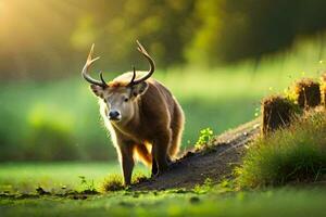 une cerf avec gros cornes permanent dans le herbe. généré par ai photo