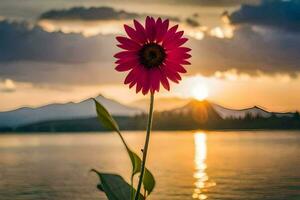 une rose fleur est permanent dans de face de une Lac à le coucher du soleil. généré par ai photo